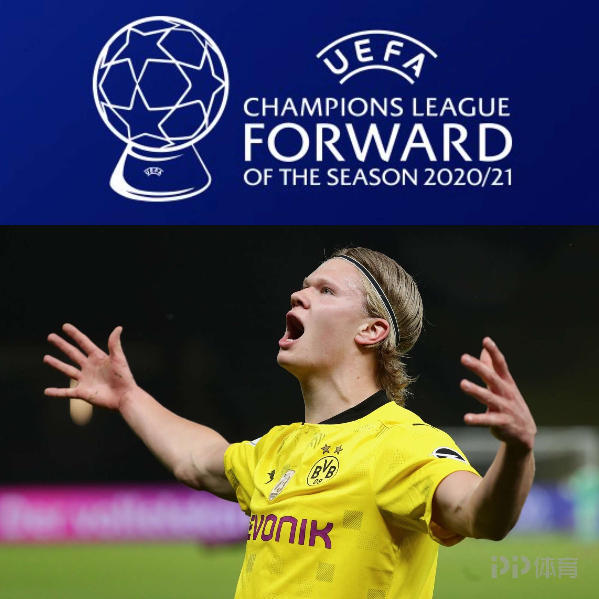 EVO职业选手成长路径分析